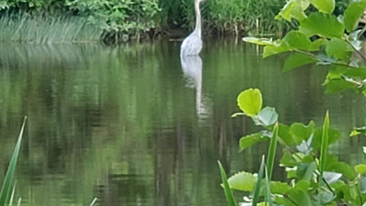 Photo of Outdoor in Wilmington