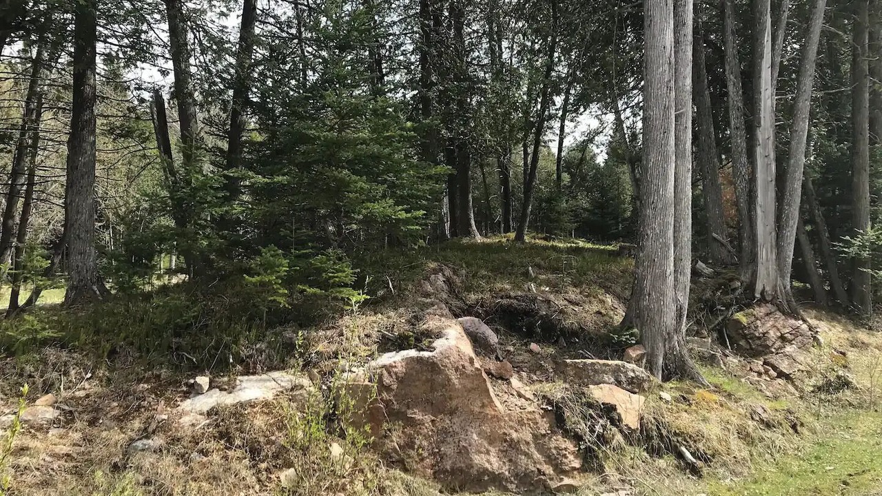 Photo of Others in Balderson