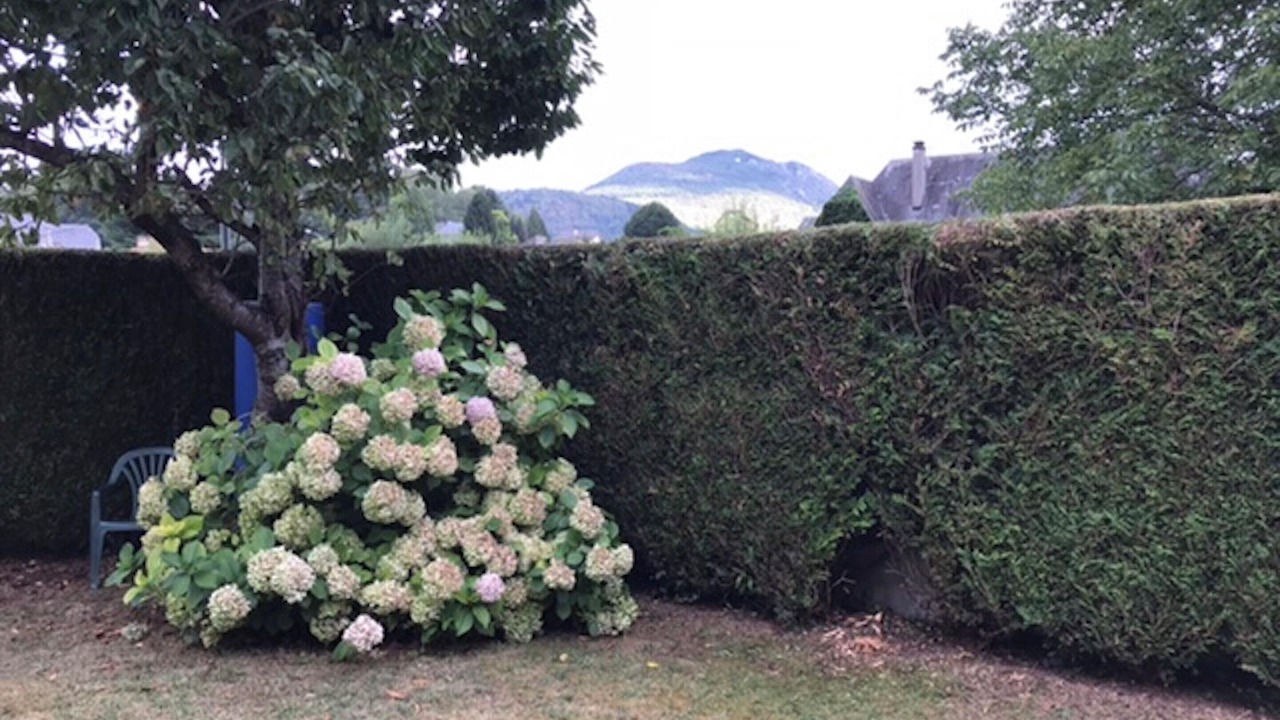 Photo of Outdoor in Lourdes