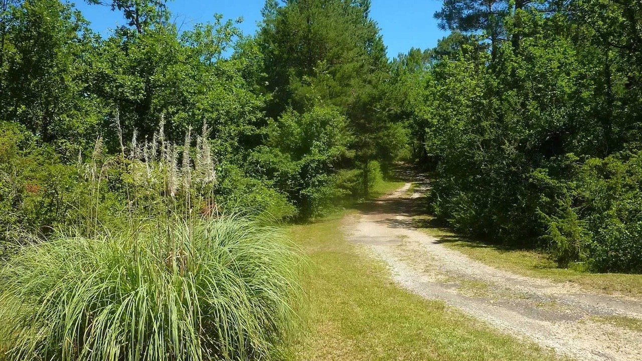 Photo of Outdoor in Les Junies