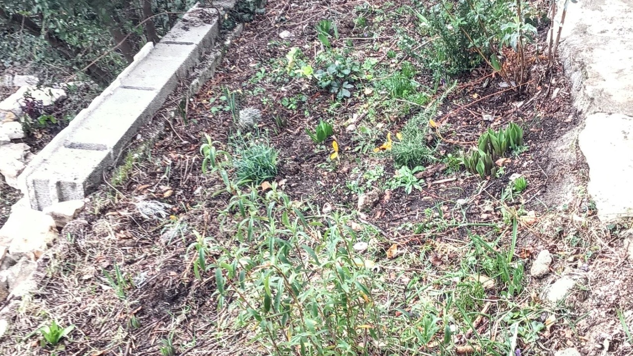 Photo of Outdoor in Vacheres