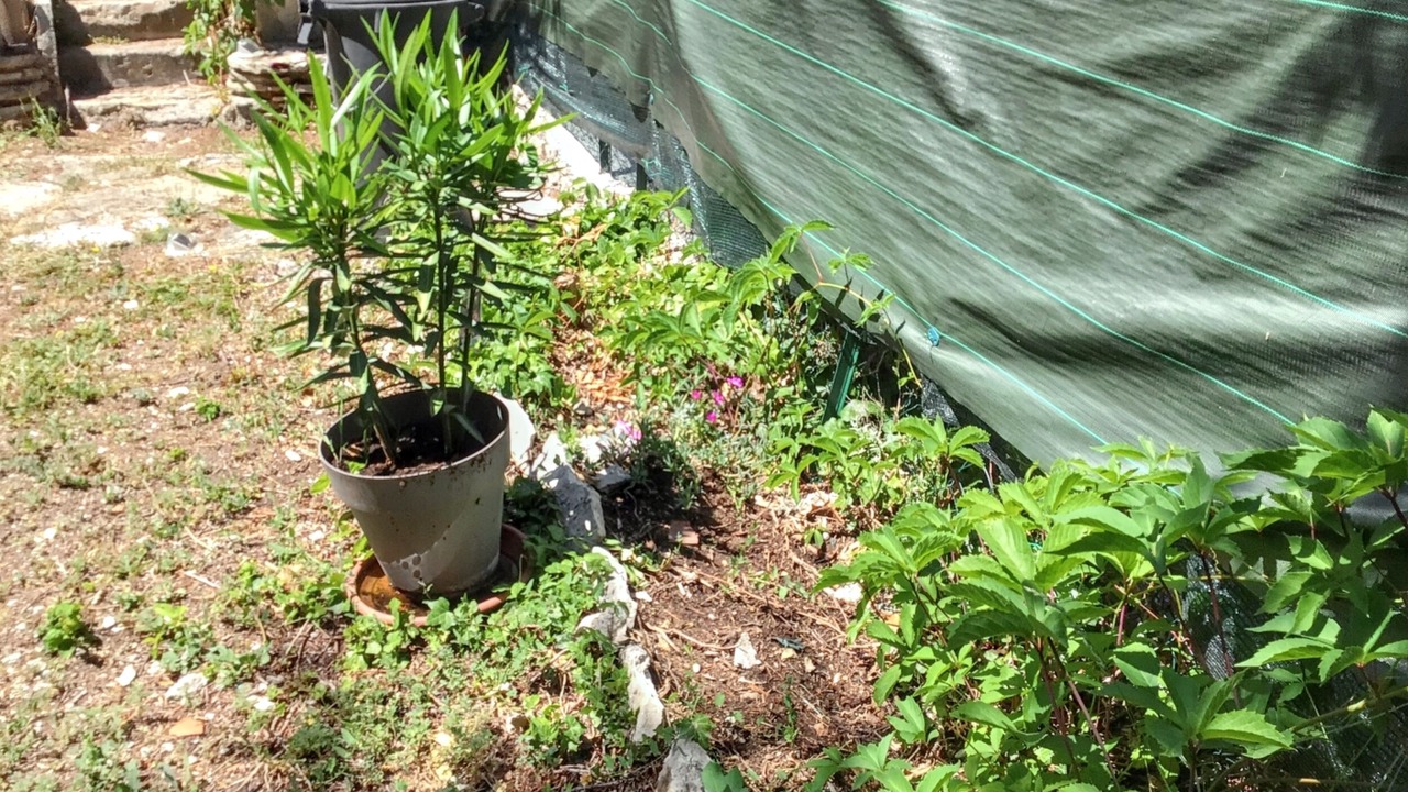 Photo of Outdoor in Vacheres