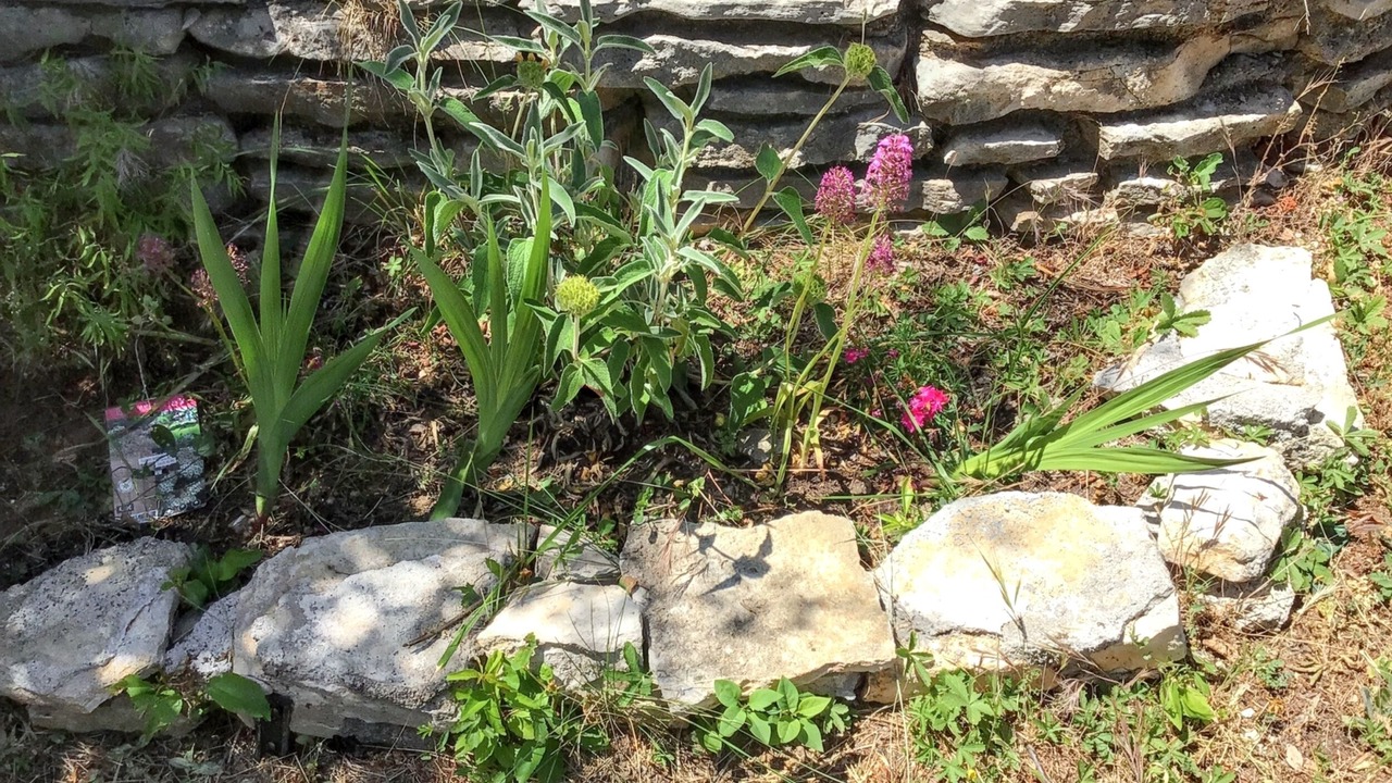 Photo of Outdoor in Vacheres