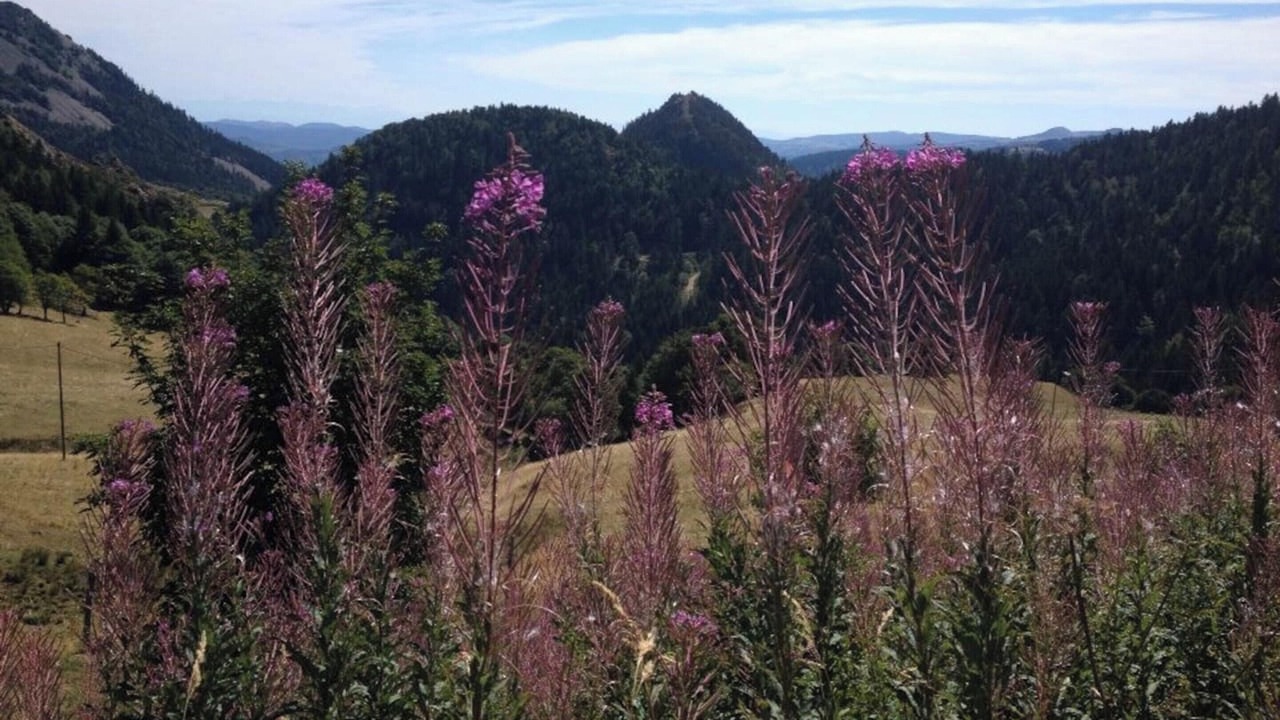 Photo of Others in Cruas