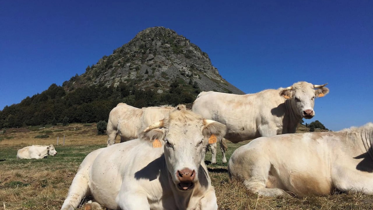 Photo of Others in Cruas