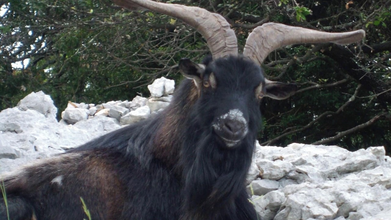 Photo of Others in Cruas