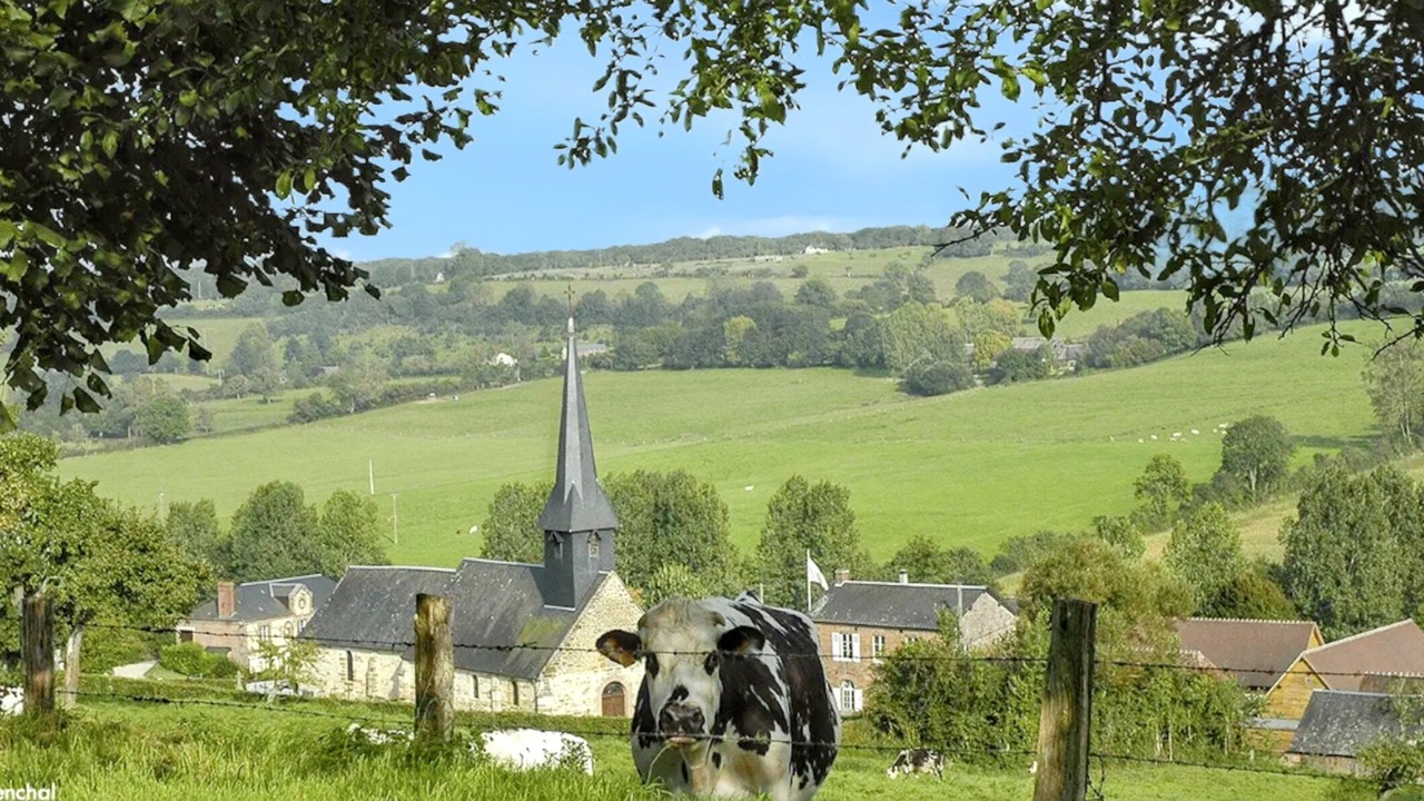 Photo of Others in Camembert