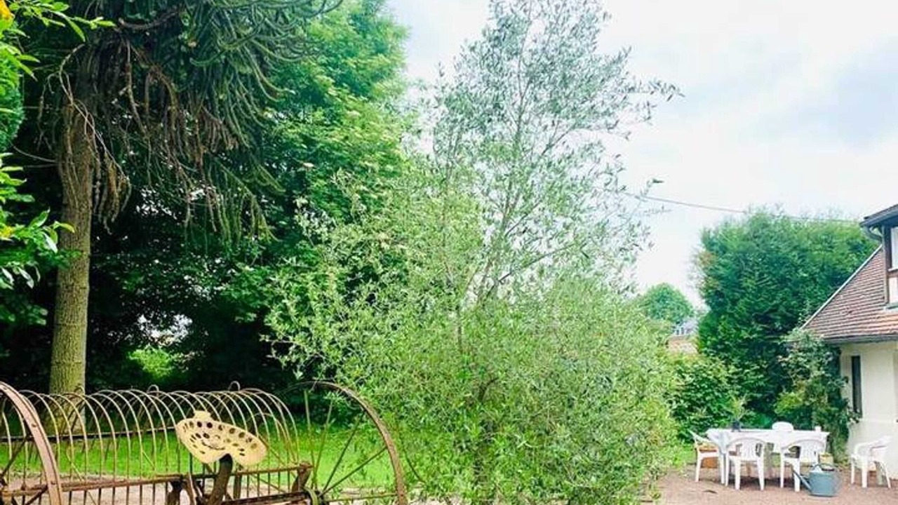 Photo of Outdoor in Firfol