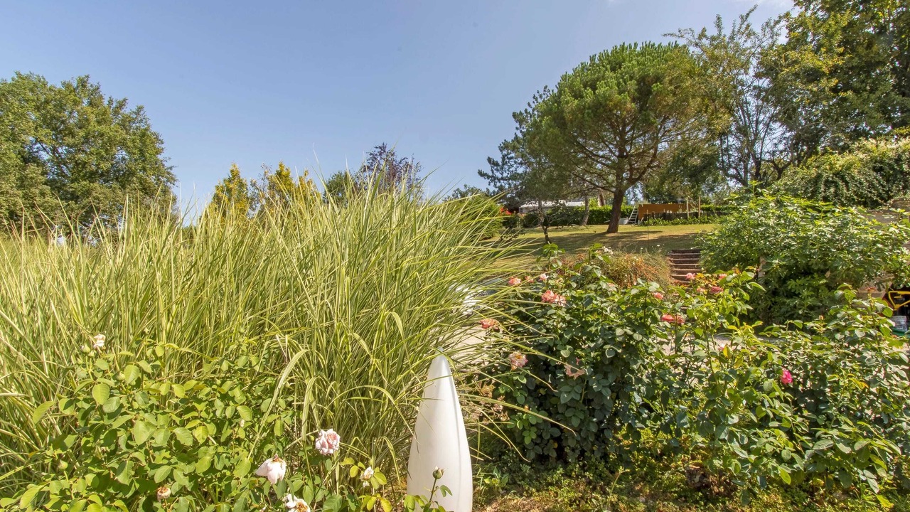 Photo of Outdoor in Saint-Aulaire