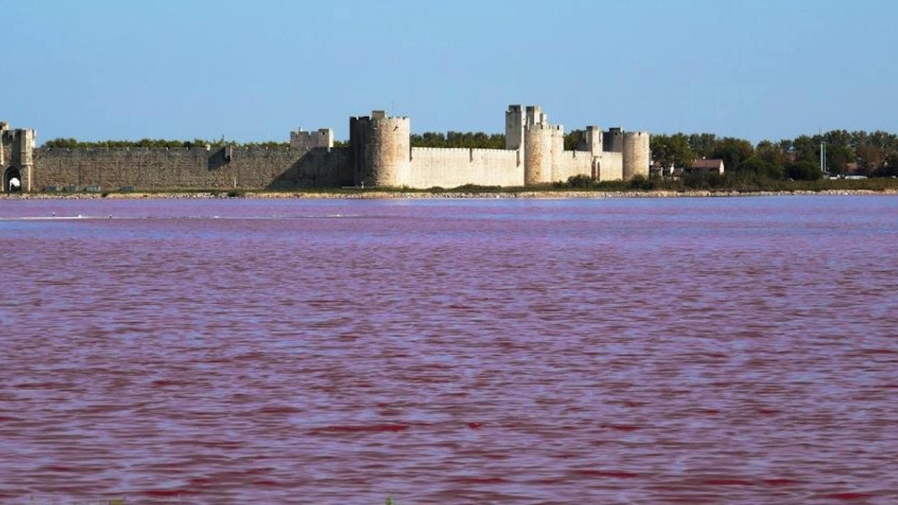 Photo of Others in Aigues-Mortes
