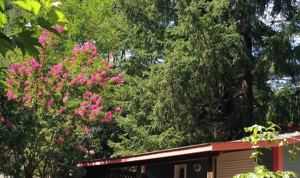 Photo of Outdoor in Saint-Jean-du-Gard