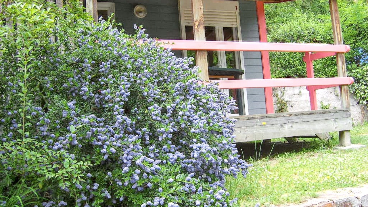 Photo of Patio Balcony in Saint-Jean-du-Gard