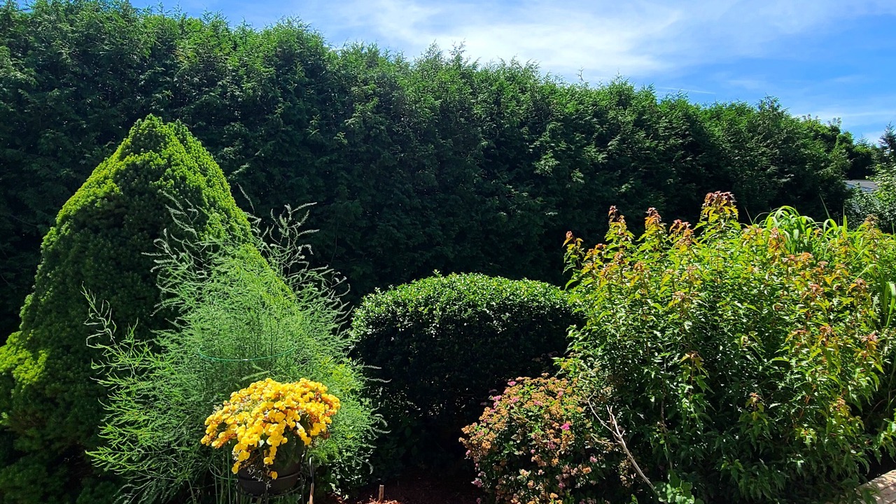 Photo of Outdoor in Margate