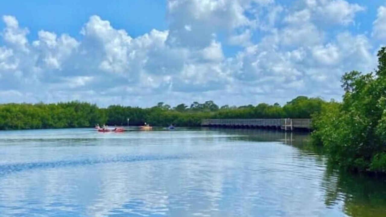 Photo of Outdoor in Tampa