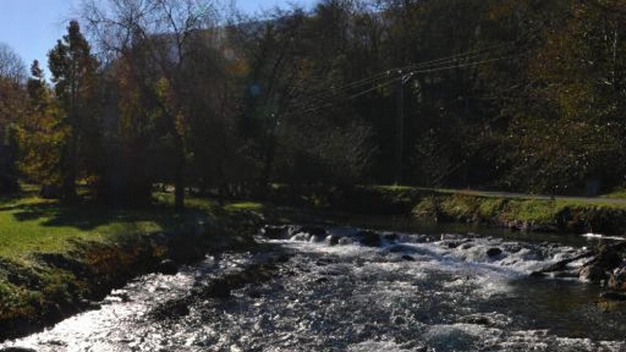 Photo of Others in Gembrie