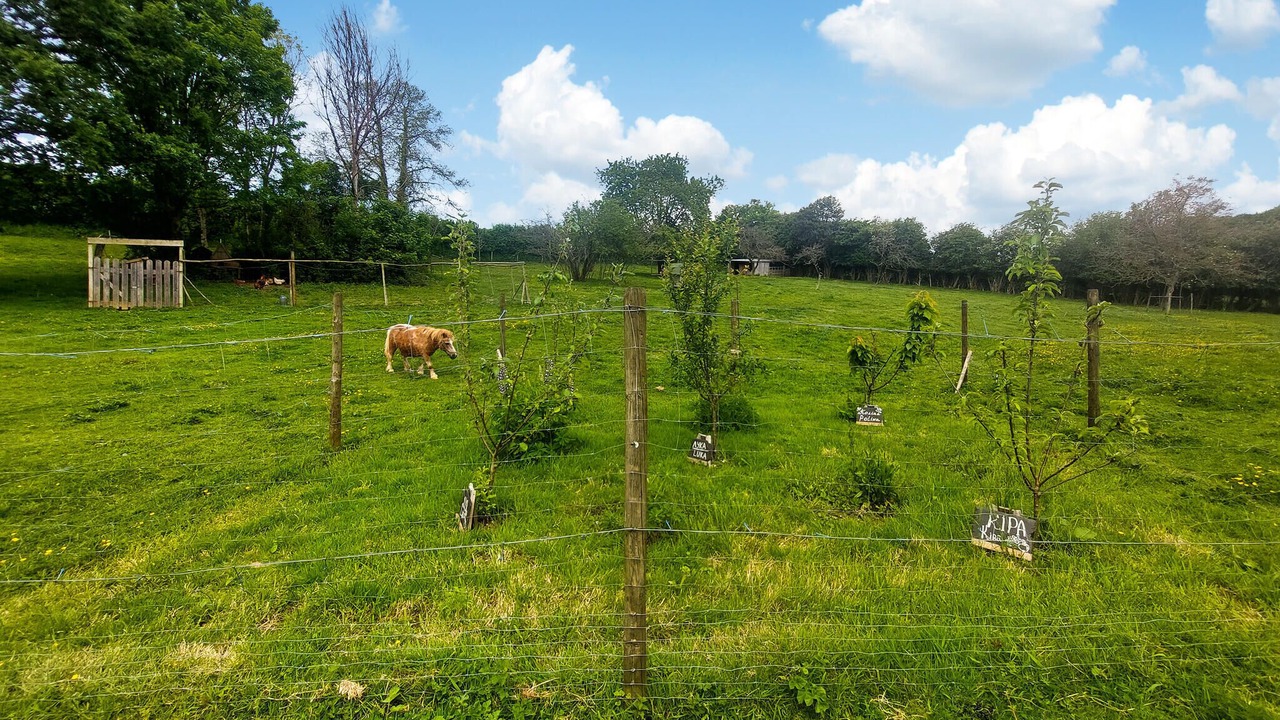 Photo of Others in Alette