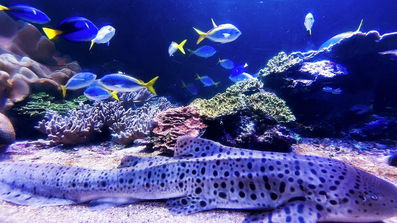 Photo of Others in Alette