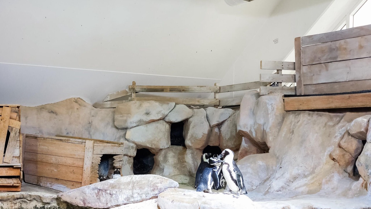 Photo of Others in Alette