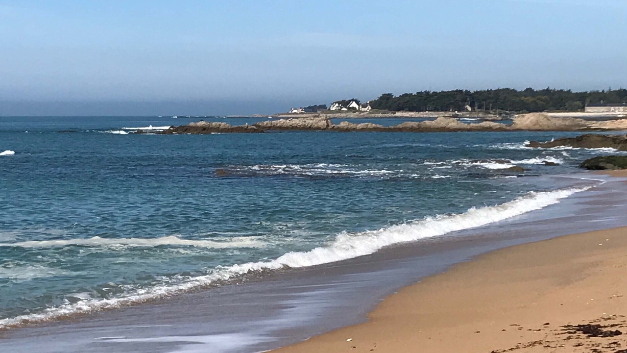 Photo of Others in Piriac-sur-Mer