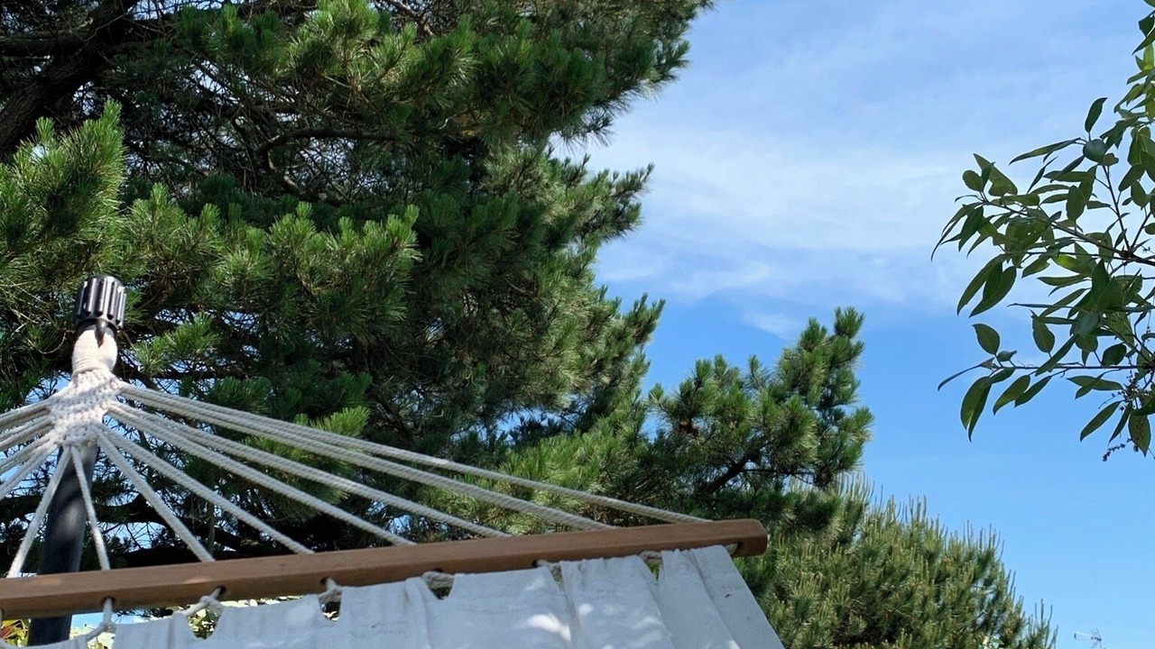 Photo of Outdoor in Piriac-sur-Mer