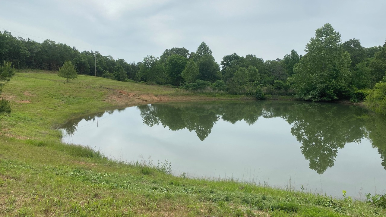 Photo of Others in Booneville