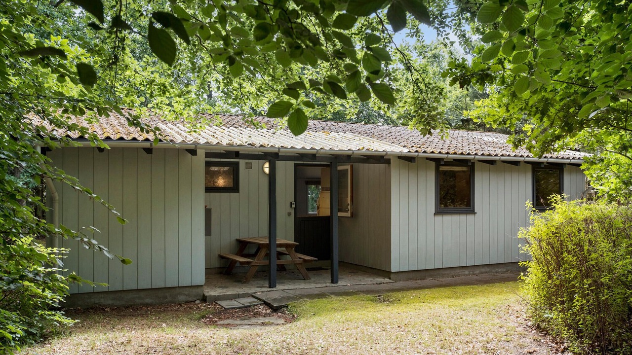 Photo of Others in Hoeve Strand