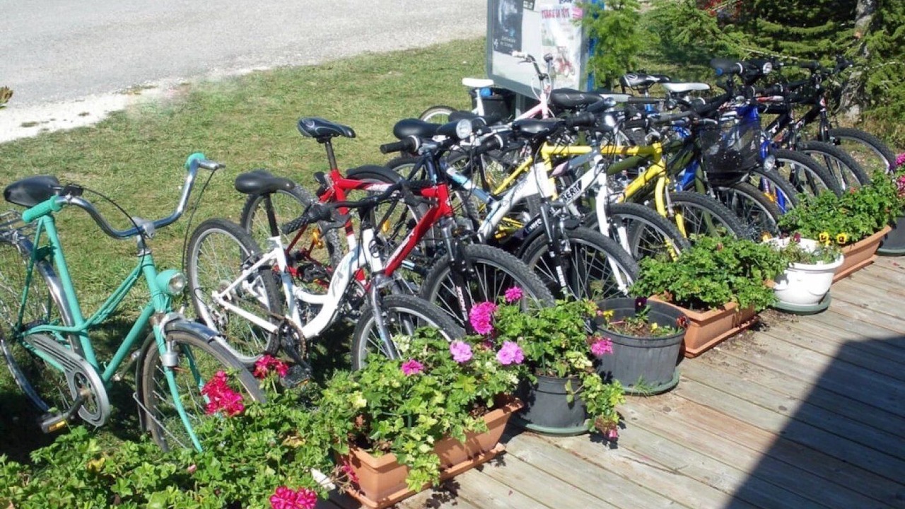 Photo of Outdoor in Verteillac