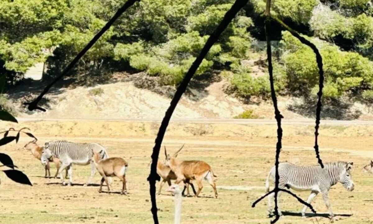Photo of Others in Sigean
