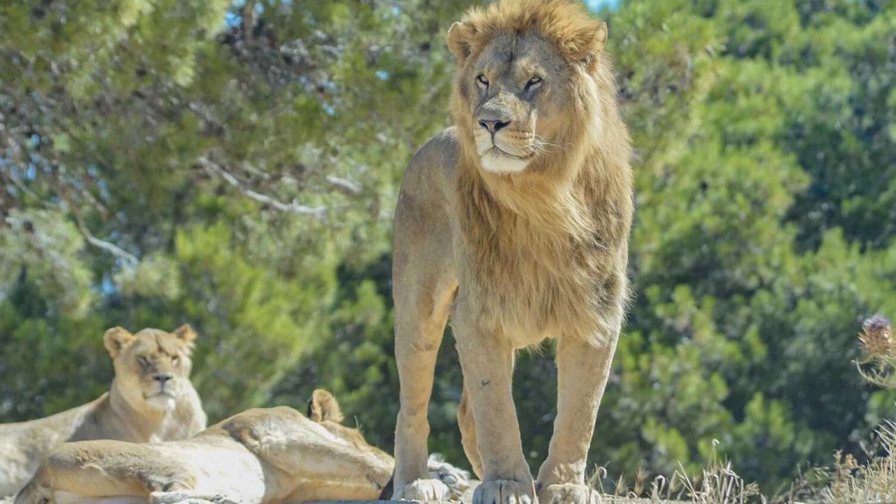 Photo of Others in Sigean