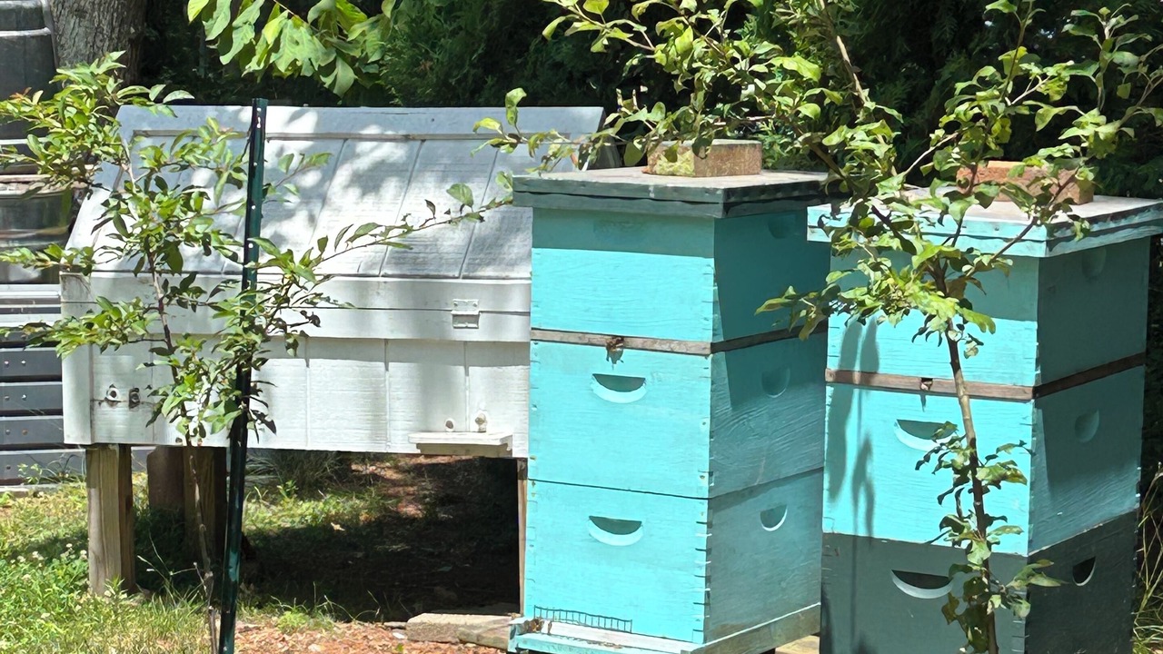 Photo of Outdoor in Mashpee