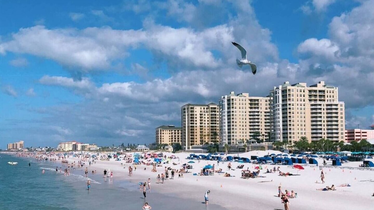 Photo of Others in Dunedin