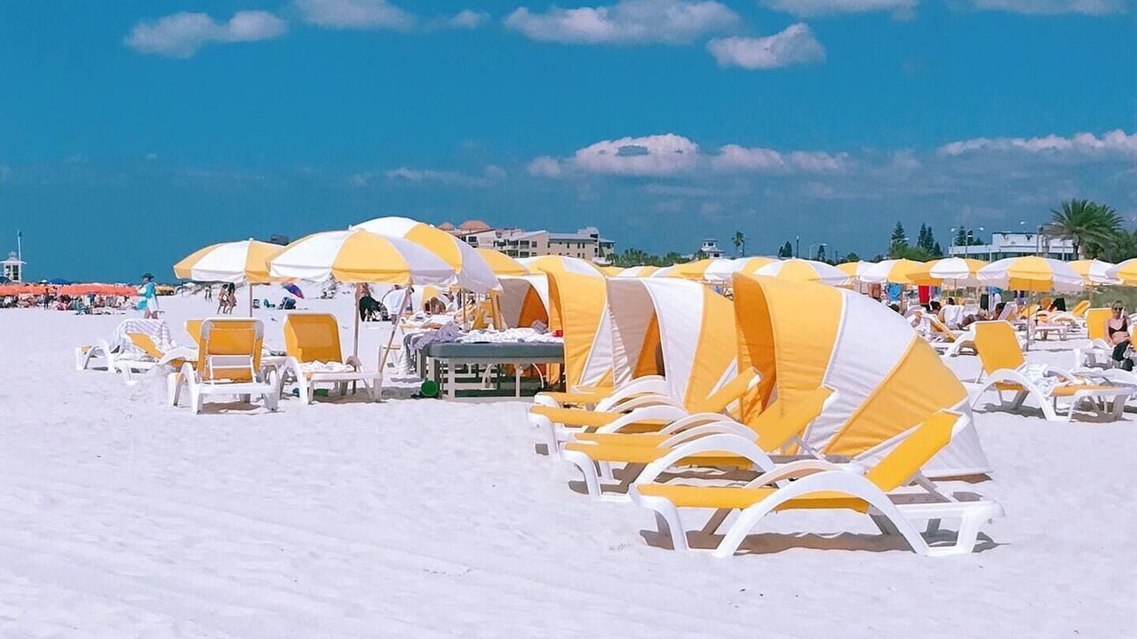 Photo of Others in Dunedin