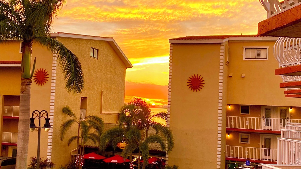 Photo of Outdoor in Dunedin