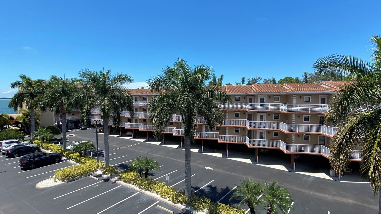 Photo of Outdoor in Dunedin