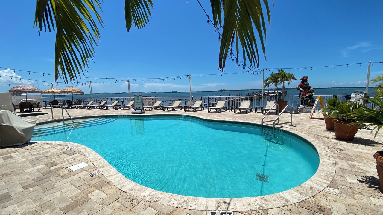 Photo of Outdoor in Dunedin