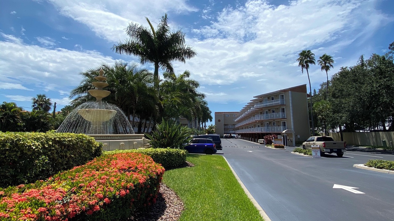 Photo of Outdoor in Dunedin