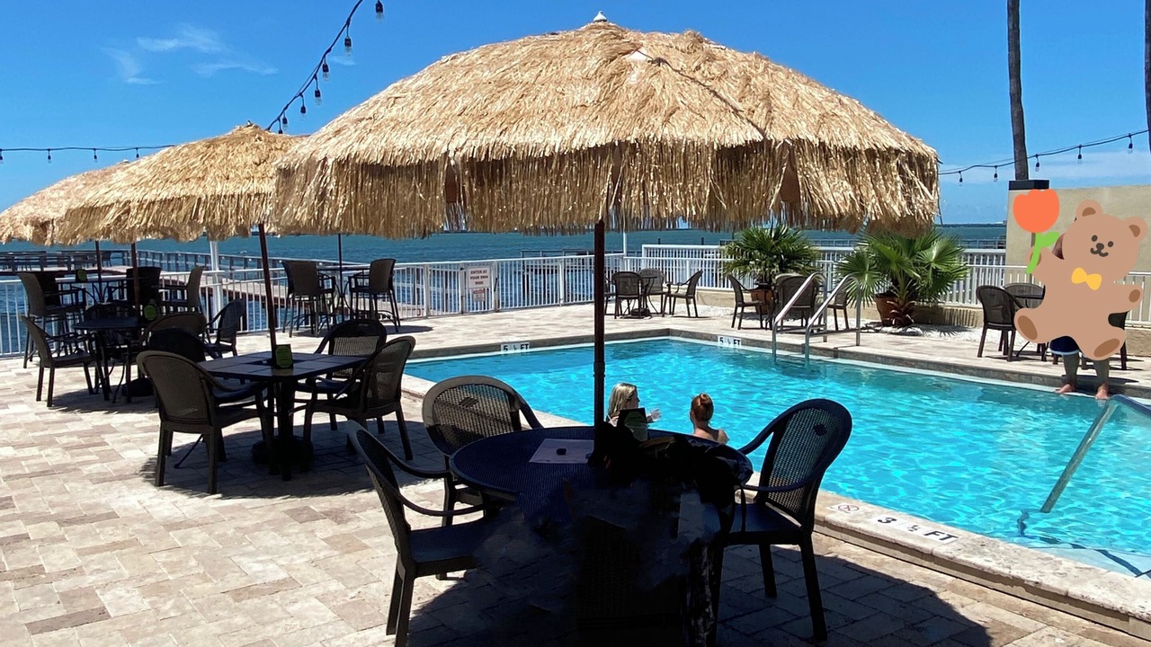 Photo of Others in Dunedin