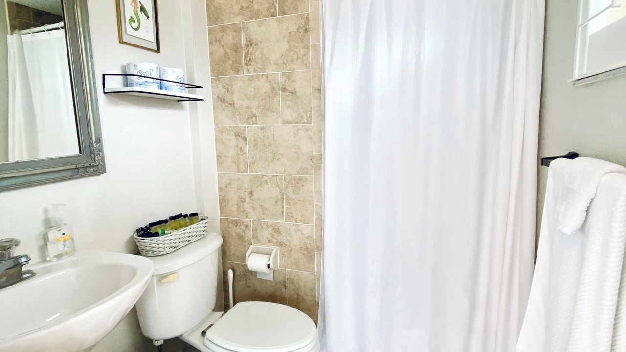 Photo of Bathroom in Dunedin