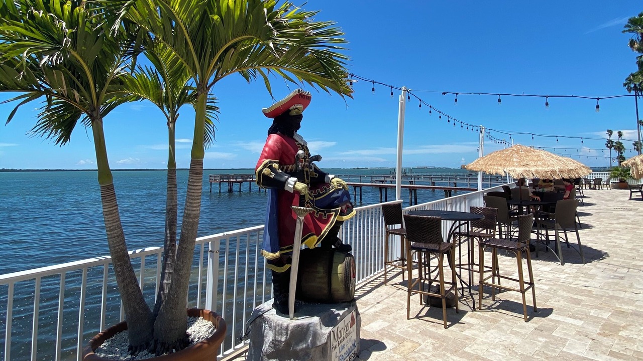 Photo of Others in Dunedin