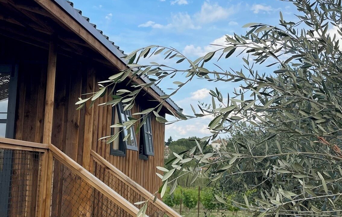Photo of Outdoor in Saint-Genies-de-Fontedit