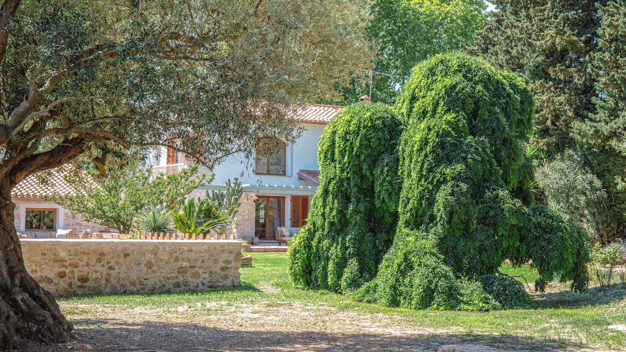 Photo of Outdoor in Argeles-sur-Mer