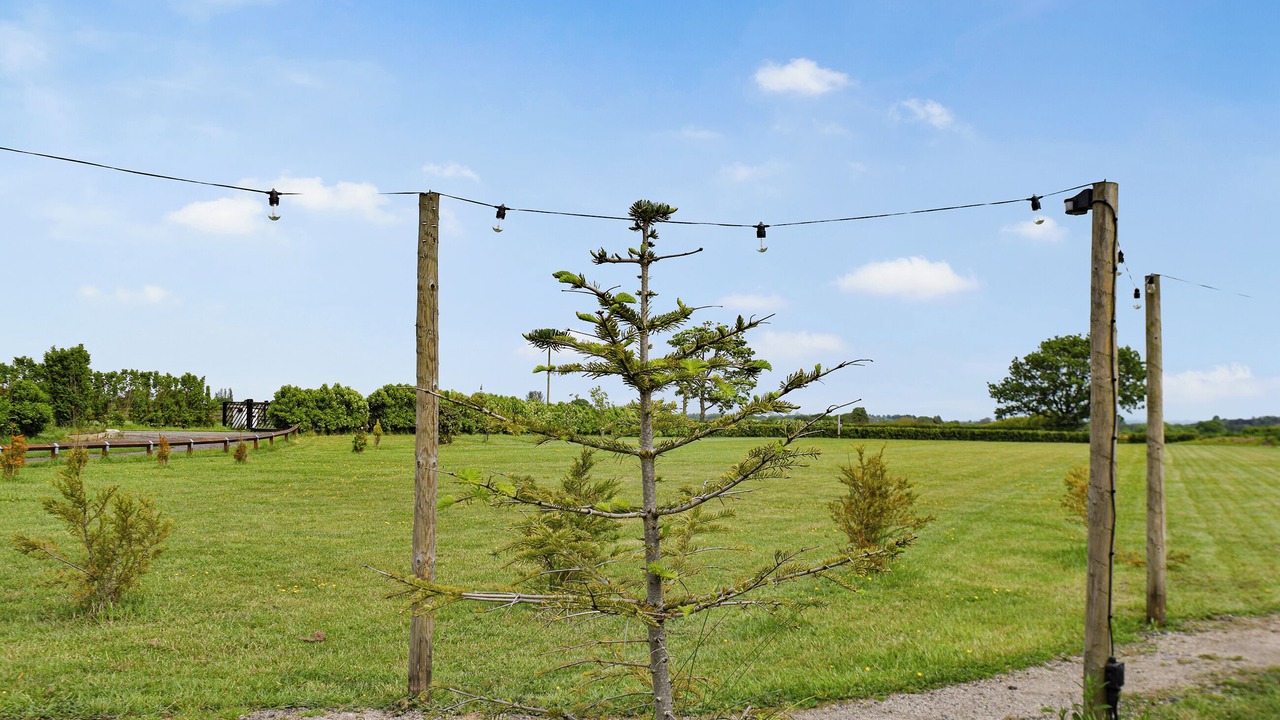 Photo of Others in Westhead