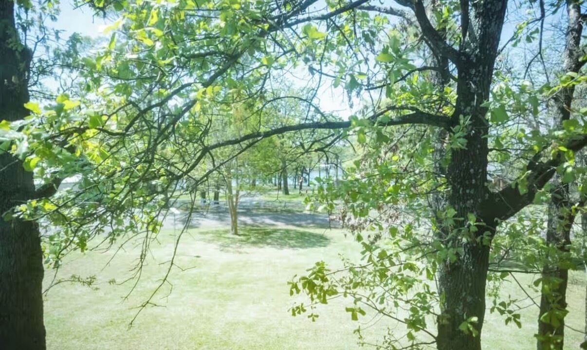 Photo of Others in Mead