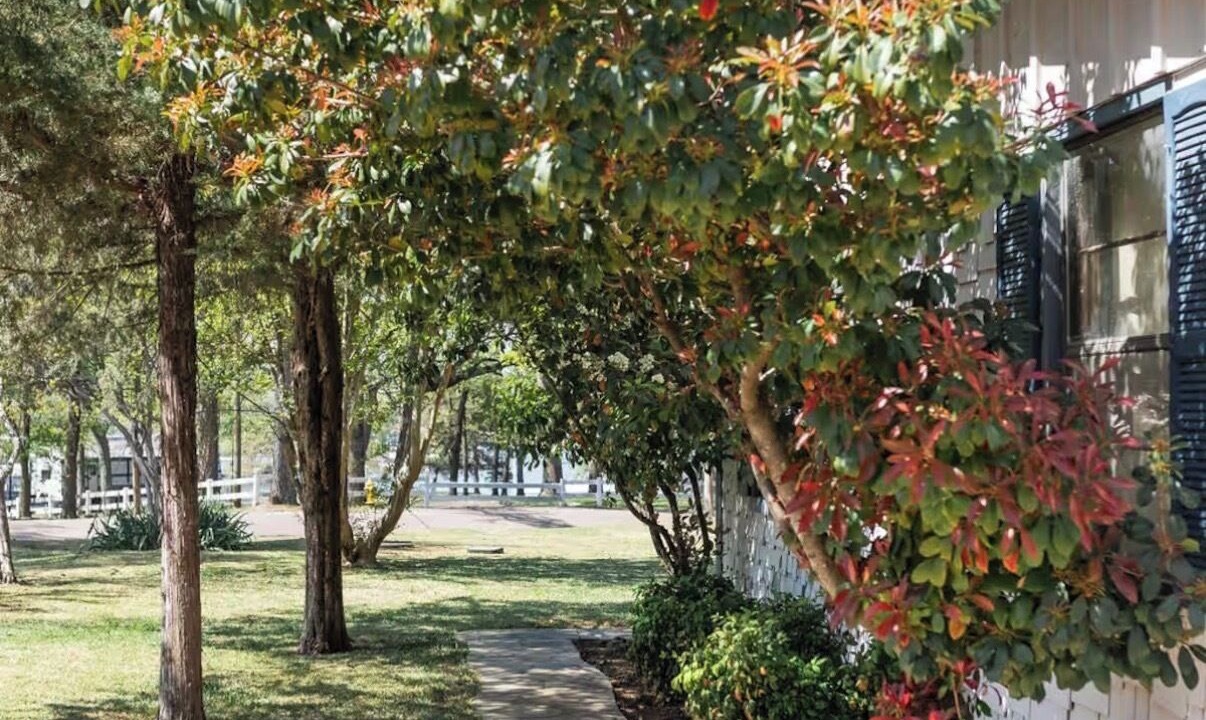 Photo of Outdoor in Mead