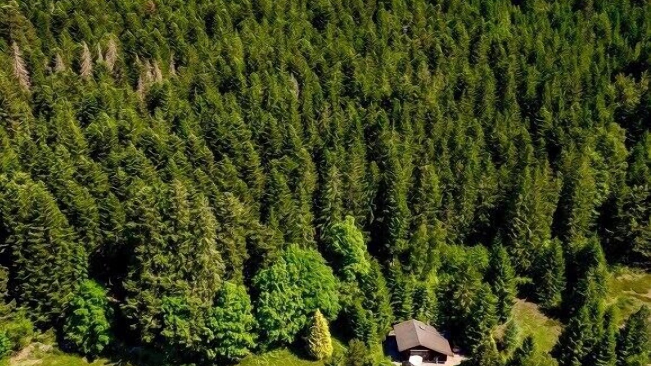 Photo of Outdoor in Granges-Aumontzey