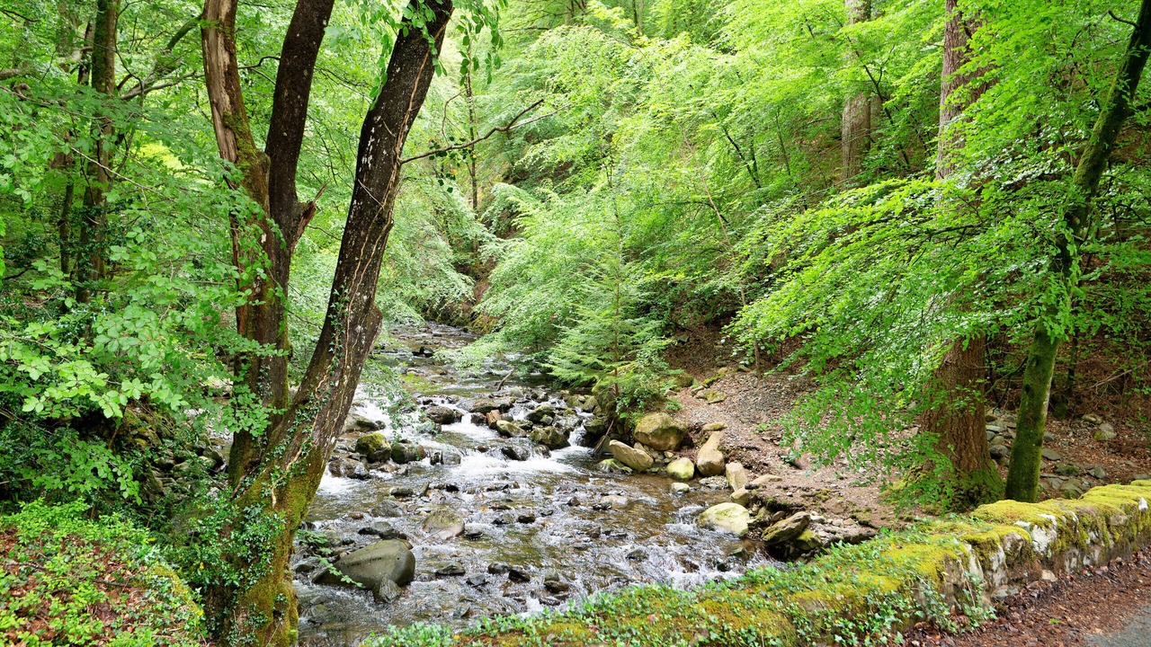 Photo of Others in Ganllwyd