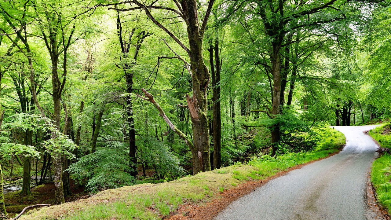 Photo of Others in Ganllwyd