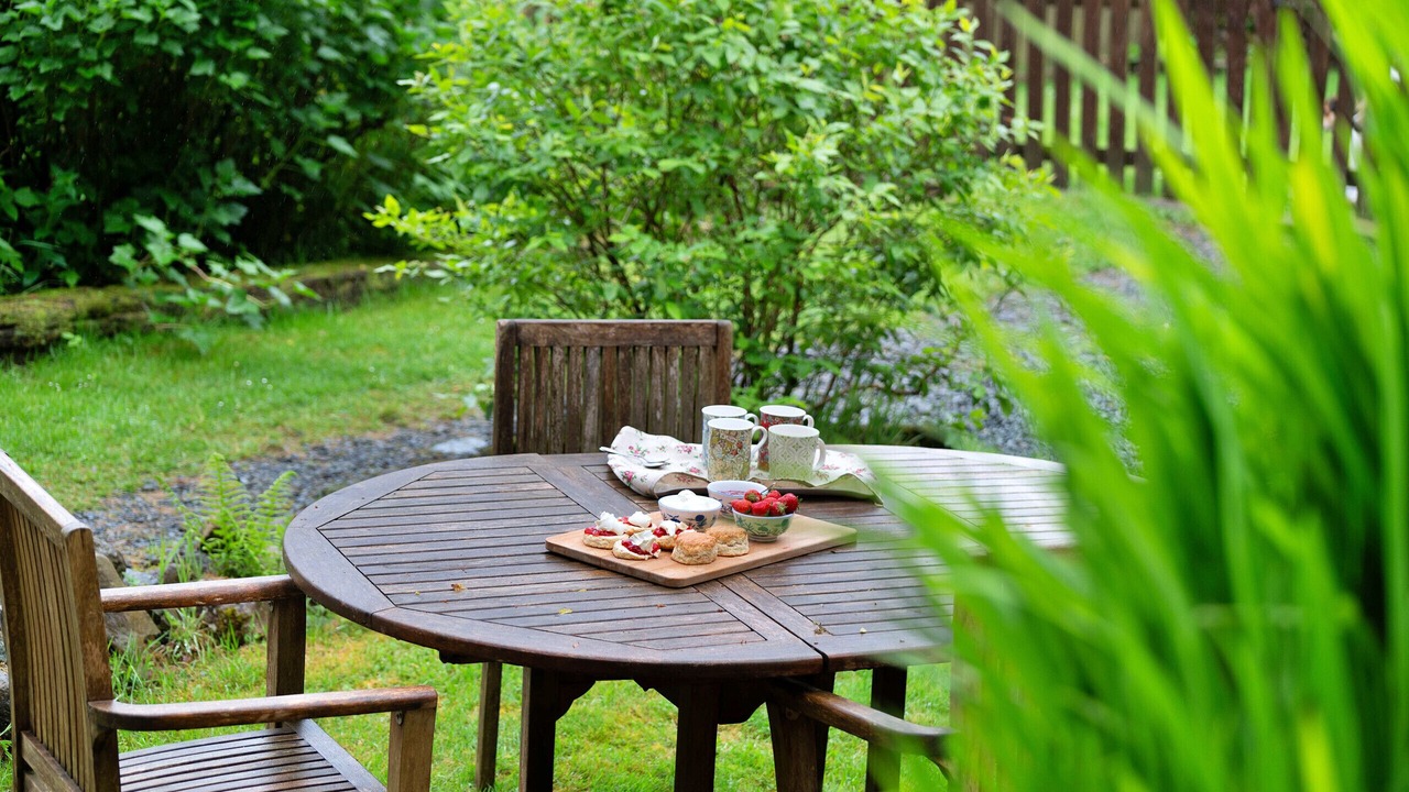 Photo of Outdoor in Ganllwyd