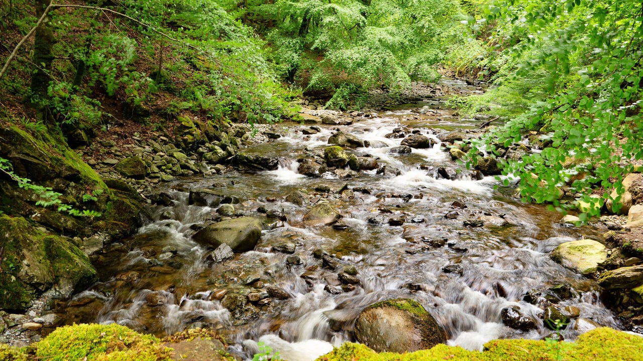 Photo of Others in Ganllwyd