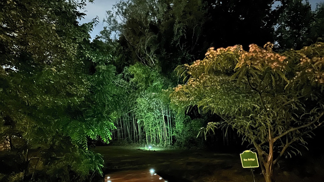 Photo of Outdoor in Rosedale